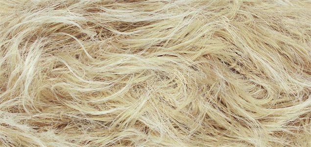 Fur Linie 332 ONline