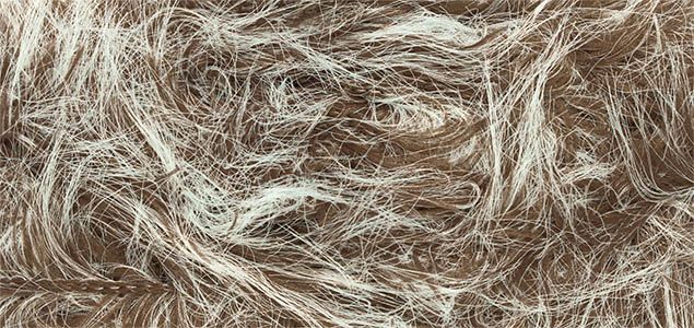 Fur Linie 332 ONline